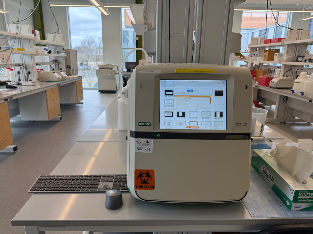 Image of Bio-Rad ChemiDoc MP Imaging System